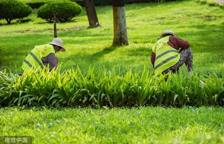 市政绿化工程内业资料范本