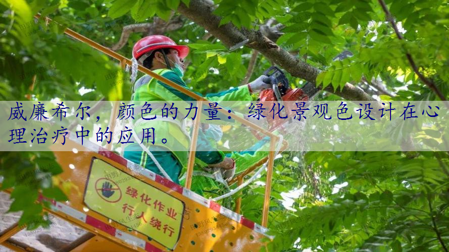 颜色的力量：绿化景观色设计在心理治疗中的应用。