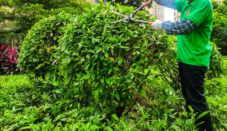 盘山公路绿化美化工程