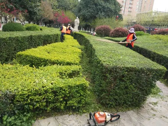 大型绿化园林景观设计